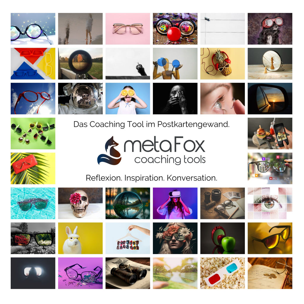 metaFox Coaching-Tools — metaFox.eu