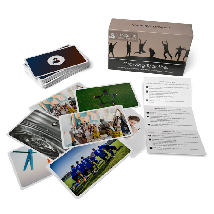 Team Coaching Bundle: Sinnsuche, ZusammenWachsen, Frei Schnauze & Postkarten