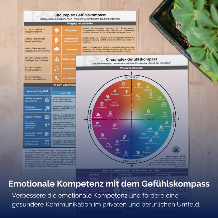 Circumplex of Emotions Compass