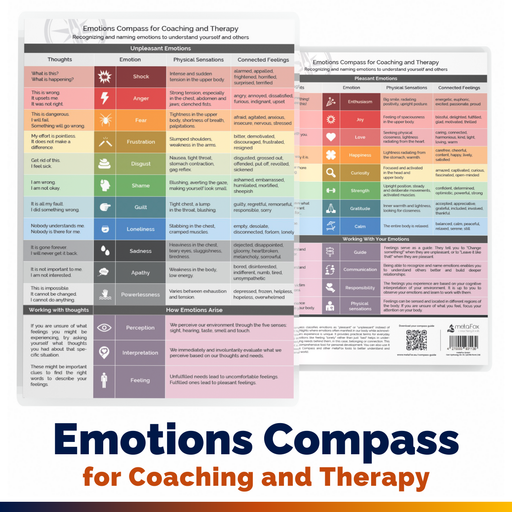 Emotions Compass for Emotional Intelligence