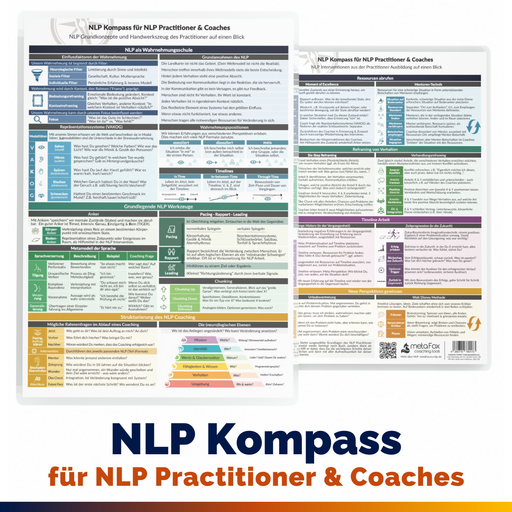 NLP Compass - Concepts et interventions pour les praticiens en PNL en un coup d'œil