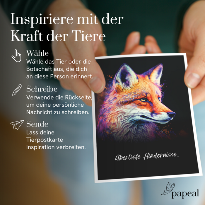 "Spirit Animals" 44 Postcard with Inspirational Messages
