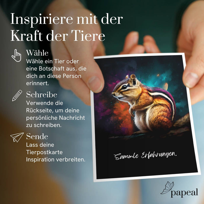 Postcards Set "Spirit Animals Vol. 2" with 44 Inspirational Messages